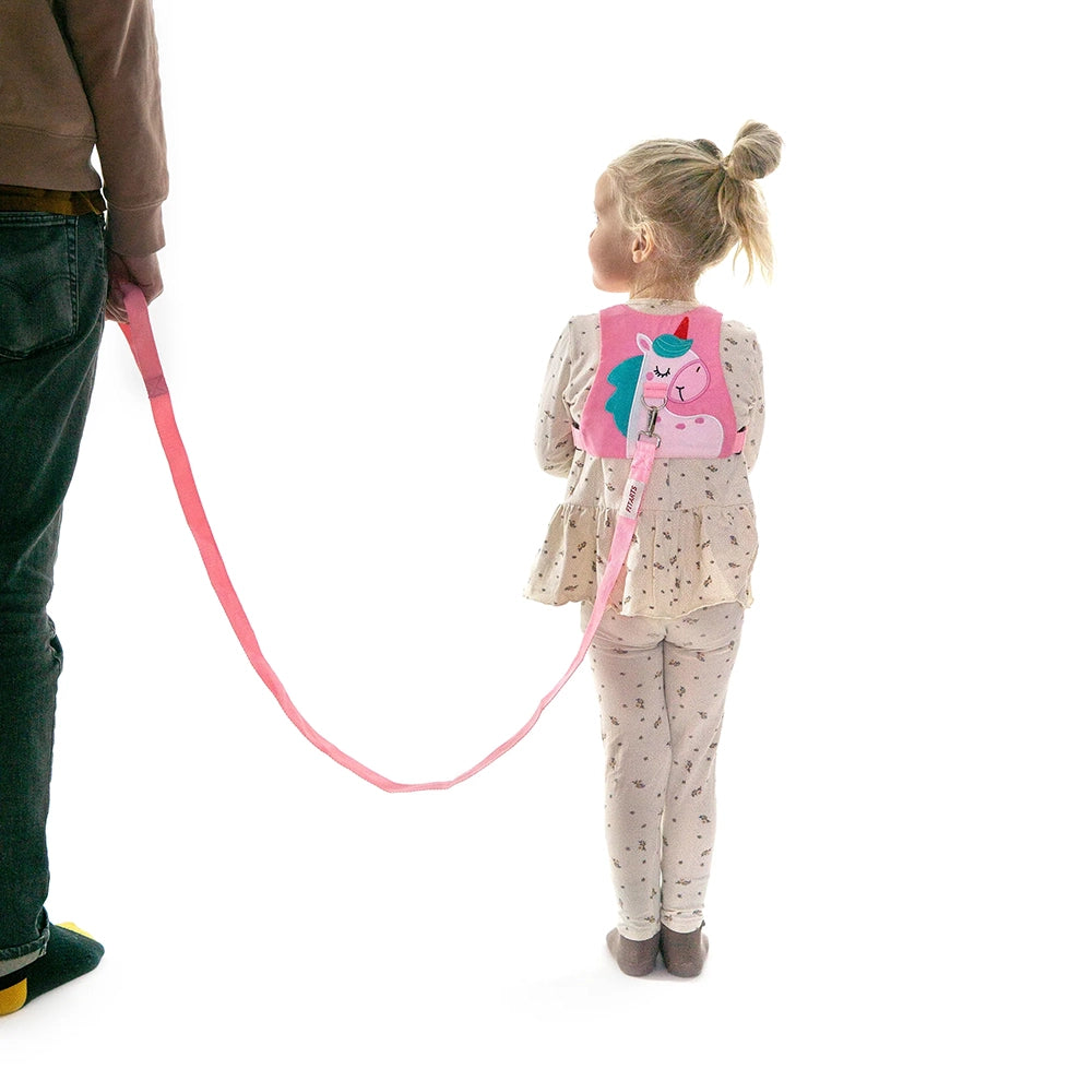 Safety Harness