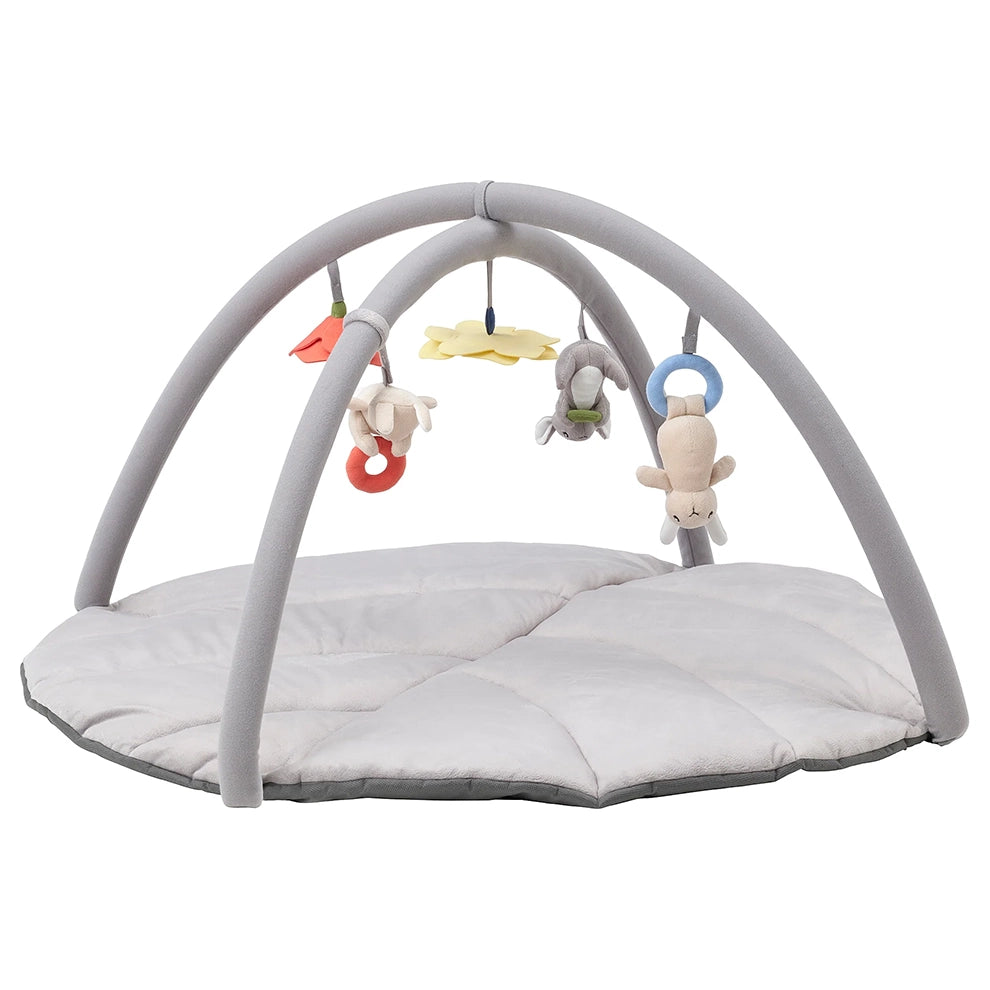 Baby Gym